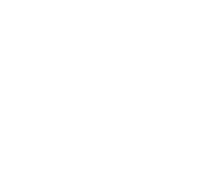 SKF logo vit